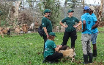 a group of people outside talking to each other