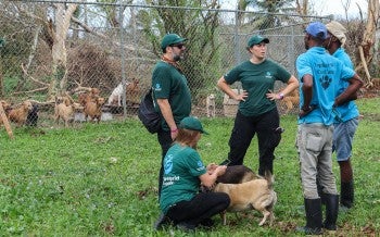 a group of people outside talking to each other