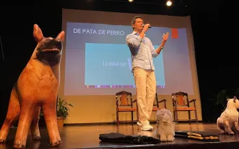Animals in disasters forum in Mexico