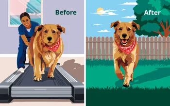Split image illustration: On the left, a dog with a red bandana walks on a treadmill indoors labeled "Before." On the right, the same dog runs outside on grass in a fenced yard labeled "After".