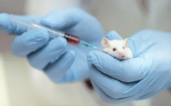 Closeup of the hands of a doctor giving a red injection to a mouse. The doctor wears blue gloves.