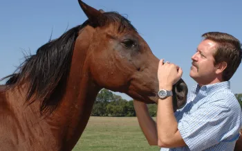 A man petting a horse