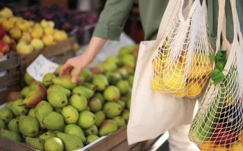 a person holding a basket of fruit