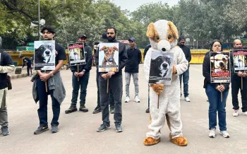 Humane World for Animals India and other NGO did a protest in India's national capital Delhi's most iconic and historic protest site, Jantar Mantar. People are holding pro-ABC placards