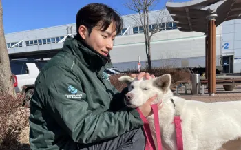 Man petting white dog