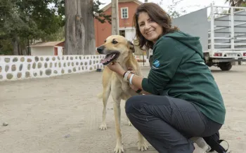 Survey Week in Barraza