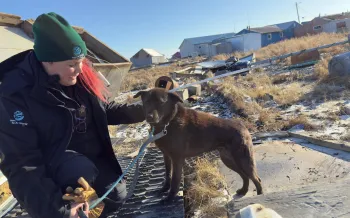 Woman petting small dog on leash.