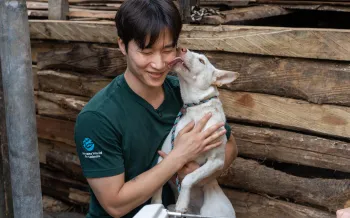 A person wearing a green "Humane World for Animals" shirt is holding a light-colored dog.