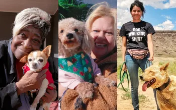 collage with three photos showcasing individuals posing with dogs