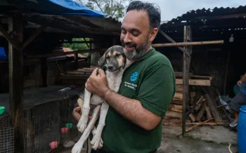 A person wearing a green shirt with a "Humane World for Animals" logo is holding a dog in their arms. 
