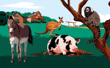 Illustration of farm and sanctuary animals—a donkey, pig, kangaroo, and marmoset—gathered on grassy land near a barn and trees.