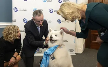 group of people petting a dog