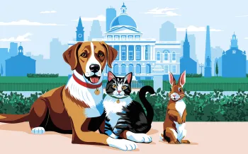 Illustration of a dog, cat, and rabbit sitting together in front of the Massachusetts State House with a city skyline in the background.