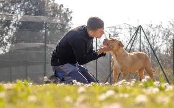 A person is kneeling on the grass in an outdoor area, holding and interacting with a tan-colored dog