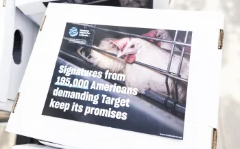 Boxes containing 195,000 petitions gathered by Humane World for Animals during a protest outside of Target headquarters for breaking its animal welfare promises