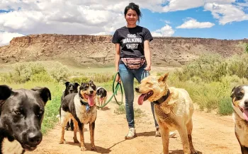 a person standing outdoors on a dirt path with several dogs