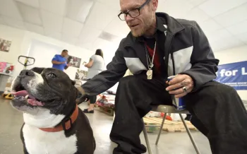 A man is sitting on a chair petting a black and white dog.