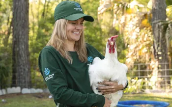 New branded clothing at Karla Dumas Yesahcan Farm Animal Sanctuary