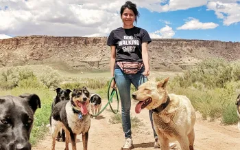 A woman out walking several dogs.