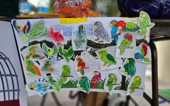 Fiesta del pajaro