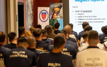 a person giving a presentation to a group of people