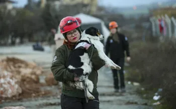 a rescue worker carrying a small black and white dog in their arms.