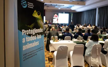 Organized Crime and Wildlife Trafficking Seminar