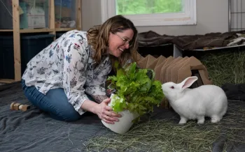 At the rabbit rescue Save the Buns, a woman holds out a bouquet of lettuce to a white rabbit who as been rescued from research.