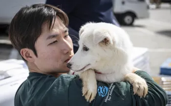 Cheongju City Dog Meat Farm Rescue