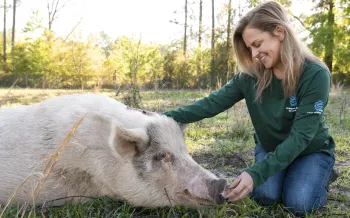 New branded clothing at Karla Dumas Yesahcan Farm Animal Sanctuary