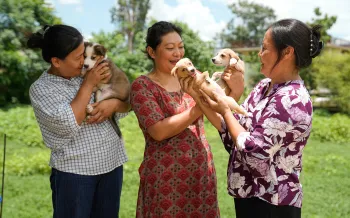 Three women stand outdoors on a sunny day, each cuddling small puppies.