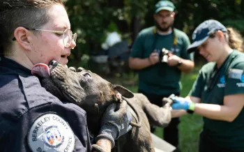 A muddy dog licks the face of a uniformed officer