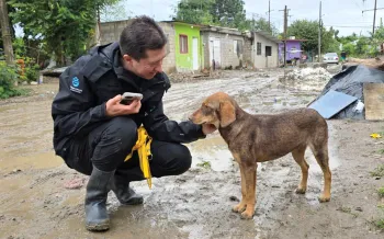 Felipe Márquez comforts a dog during a rescue.