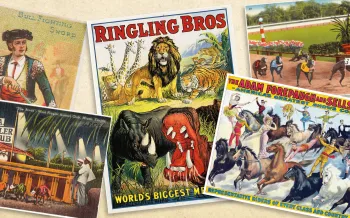 Collage of vintage circus and animal-racing posters and postcards, featuring Ringling Bros. animals, horse performers, greyhound races, and a bullfighting illustration.