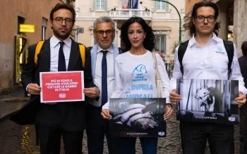 Four people stand on a cobblestone street holding posters in support of a nationwide ban on cages for farmed animals