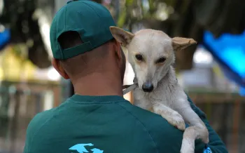 A person is seen from behind, holding a dog