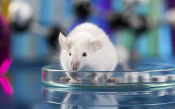 Mouse in a petri dish