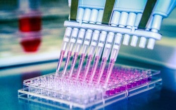 Alternatives to animal testing