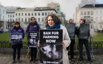 Campaigning to ban fur farming
