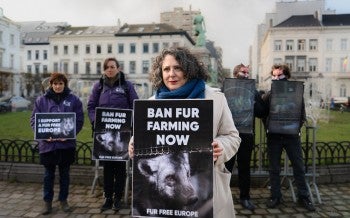 Campaigning to ban fur farming