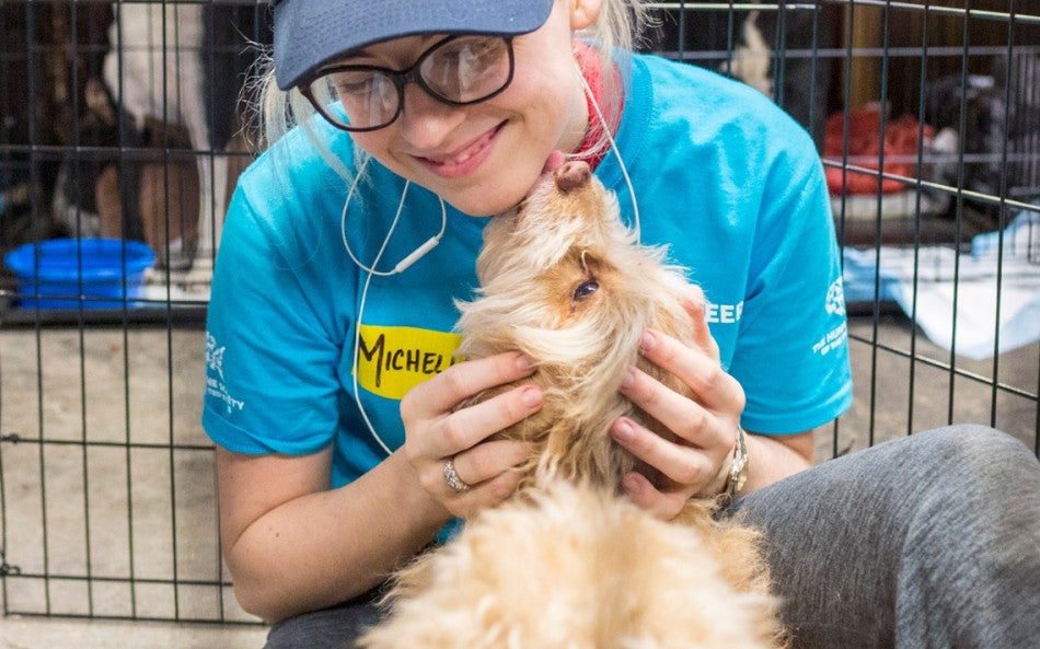 Humane World | Global animal welfare organization | Humane World for ...