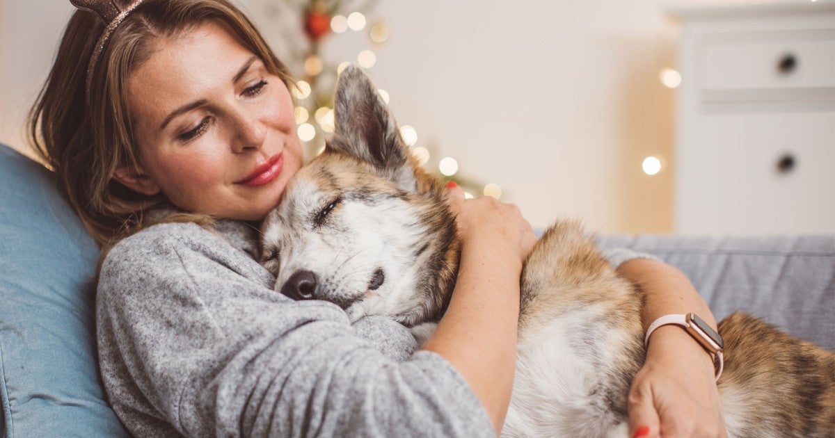 What to Know When Renting With Pets | Humane World for Animals
