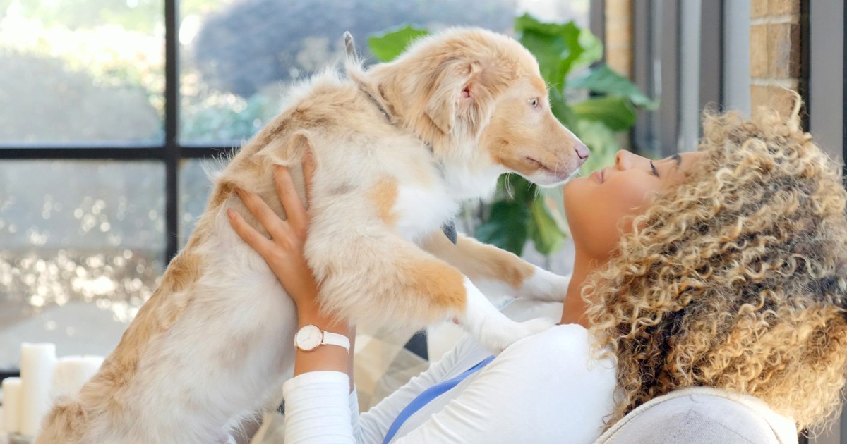 How to stop your dog from jumping up - Humane World for Animals