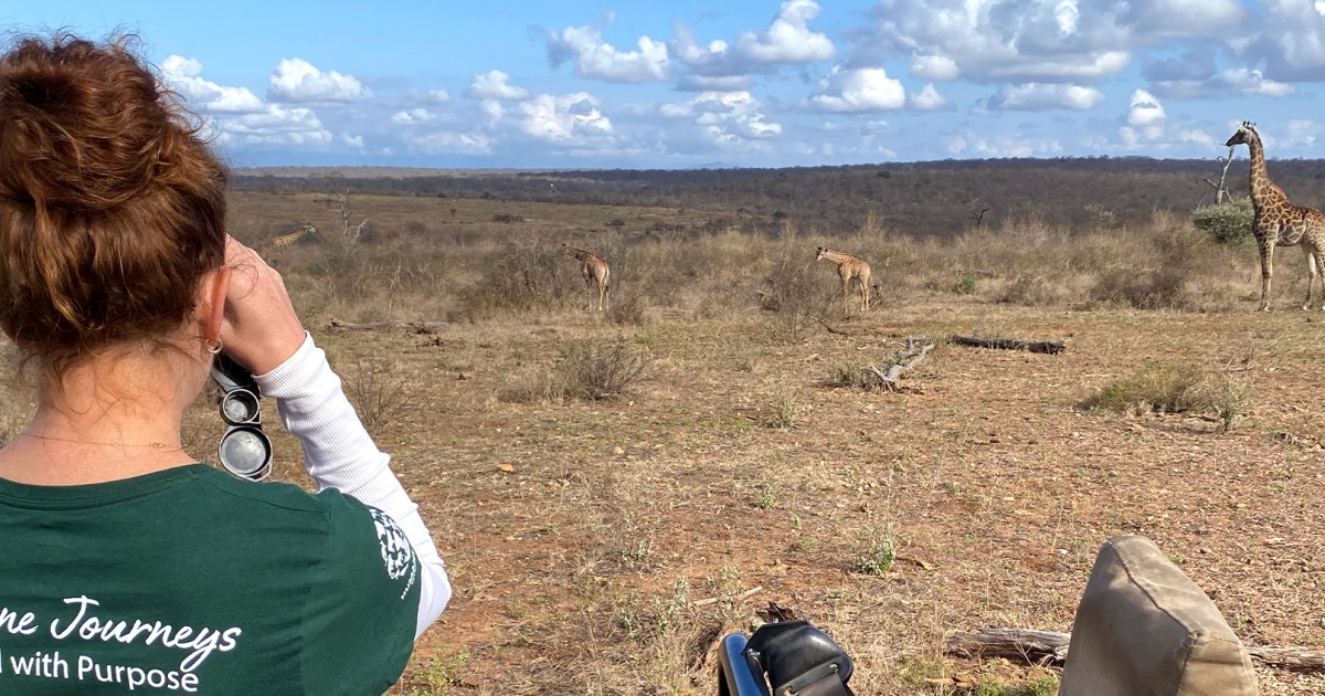Picture of How to Safely Watch Wildlife in Nature