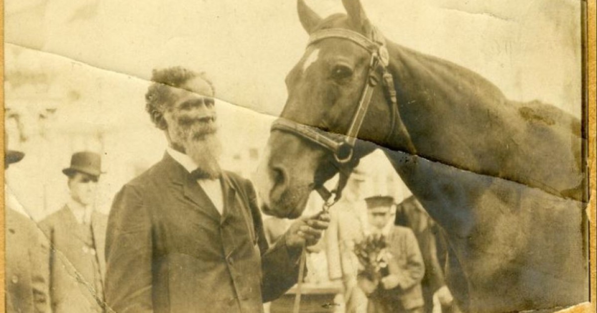 Exploring the rich, overlooked history of Black animal activism ...