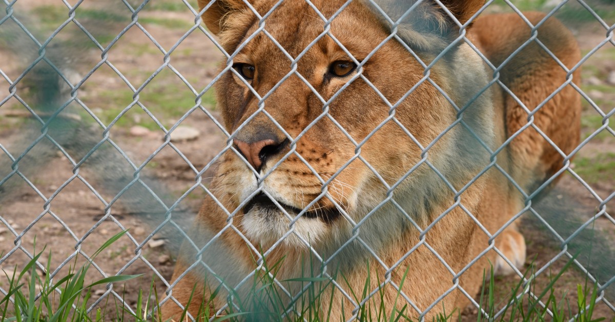 DSC_0179_481822.jpg?h=8c1344d8