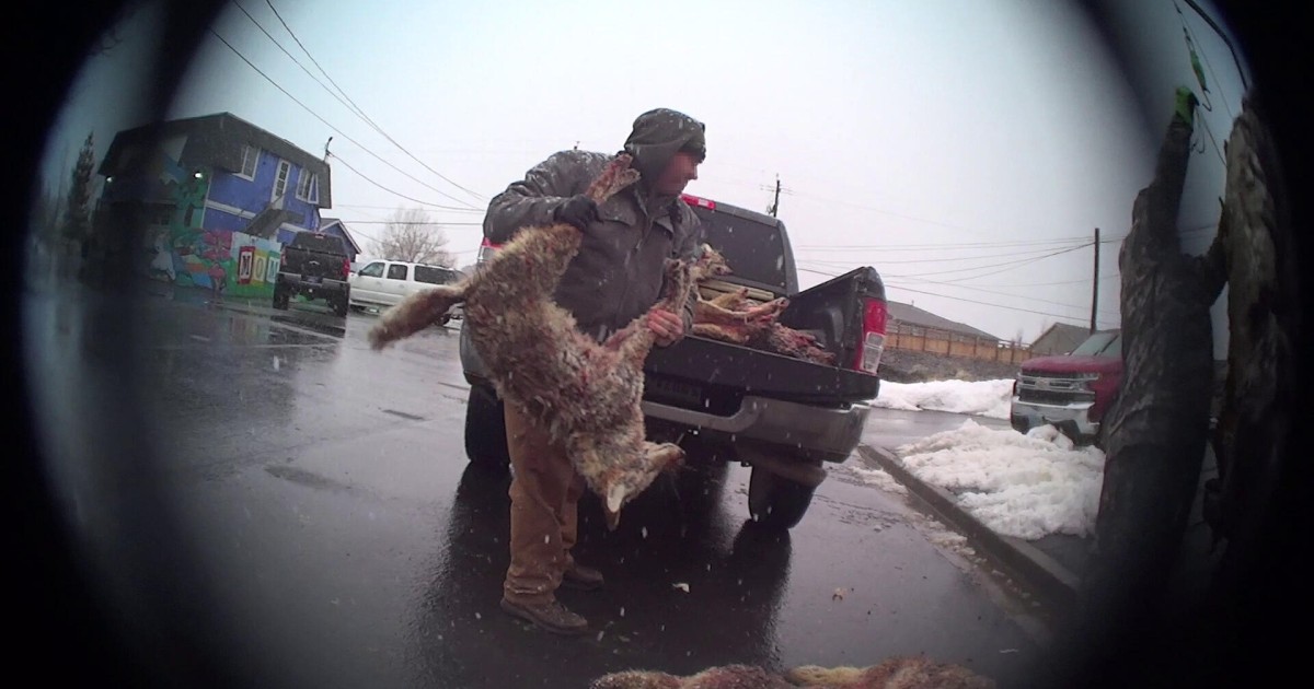 71% of Nevada residents want wildlife killing contests banned | Humane ...