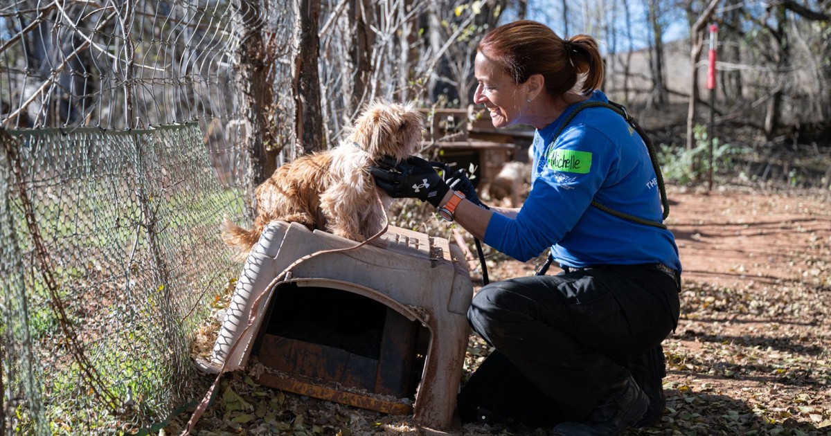 Contact the Animal Rescue Team | Humane World for Animals