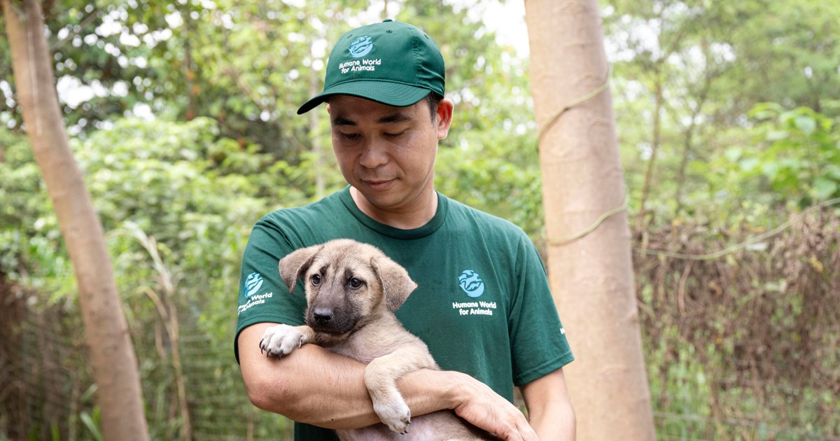 Where we work | Humane World for Animals