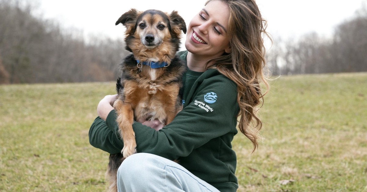 Animal charity Humane Society International to become “Humane World for ...